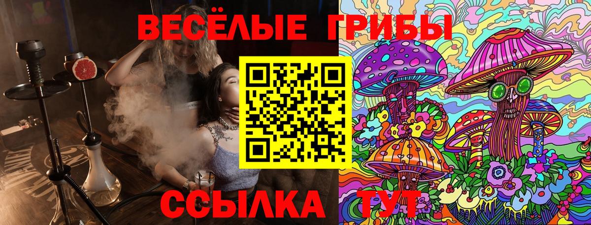 купить наркотики сайты  Галлюциногенные грибы MAGIC MUSHROOMS  Вход с VPN  Воронеж  Псилоцибиновые грибы GOLDEN TEACHER 
